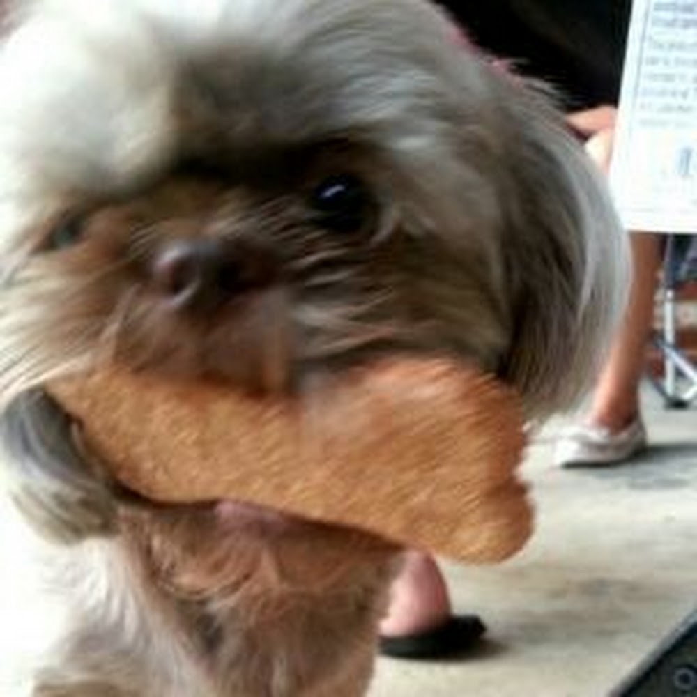 Meet your Posher, Emma